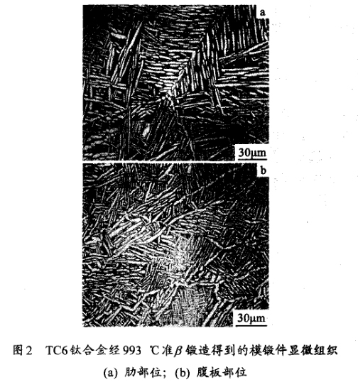 TC6鈦合金經993 ℃準鍛造得到的模鍛件顯微組織(a) 肋部位；(b) 腹板部位